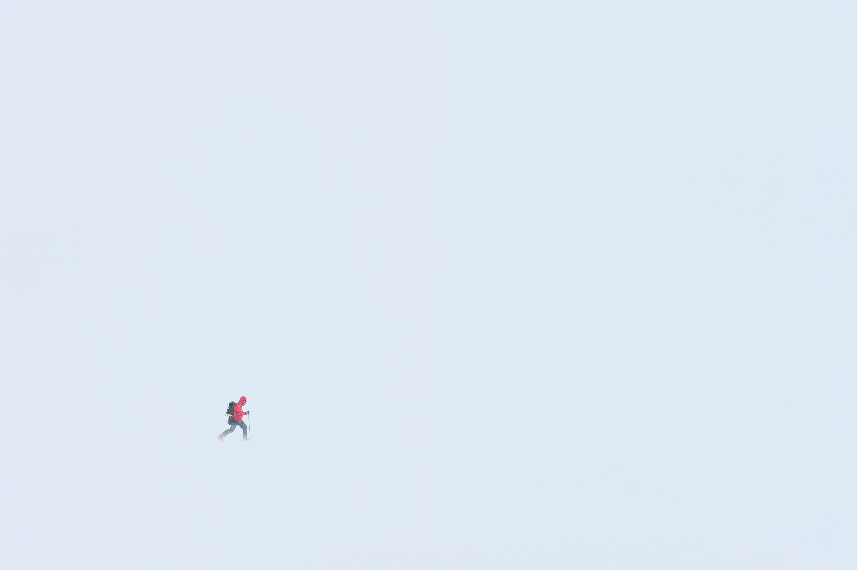 Whiteout